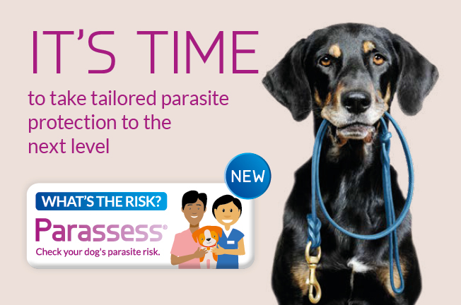 INTRODUCING PARASSESS