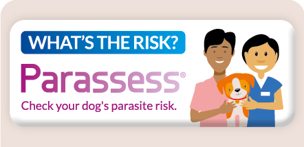 Parassess Resources