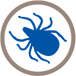 Tick